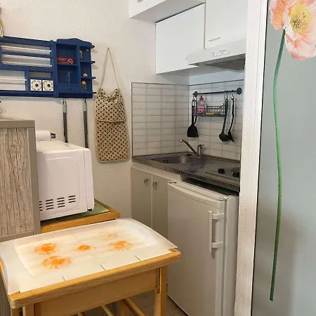 Studio Balaruc-les-bains, 1 Piece, 2 Personnes - Fr-1-553-180