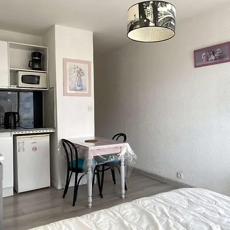Cosy Proche Thermes Avec Coin Cuisine Et Vue Sur Etang - Fr-1-553-237 Apartament Balaruc-les-Bains